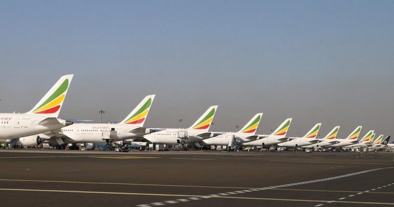 Ethiopian Looking to Build on its Cargo Business with the Introduction of an African E-commerce Logistics Hub